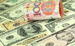 day到rua是什么梗